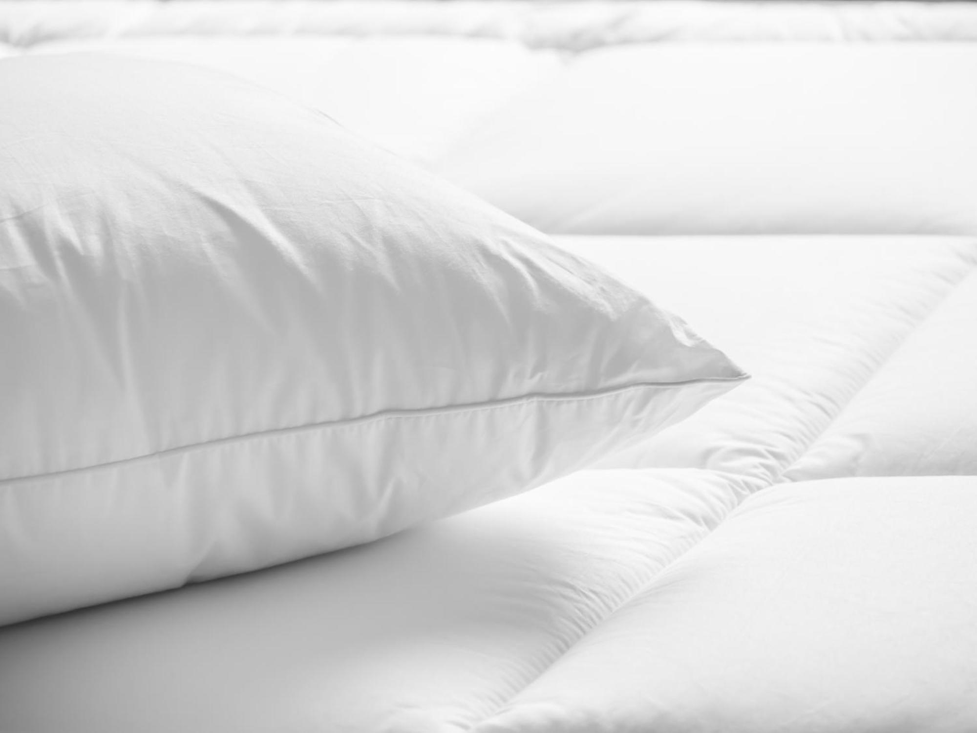 Suite Two Queen Beds Mobility Hearing Access or Non-Smoking,1646902492:JPEG